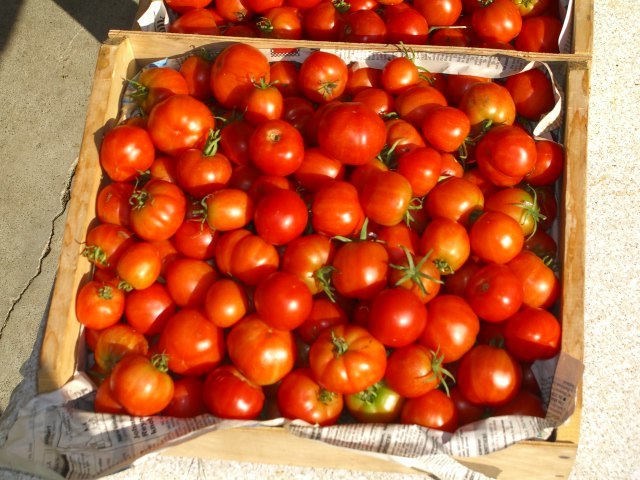 Tomatoes005